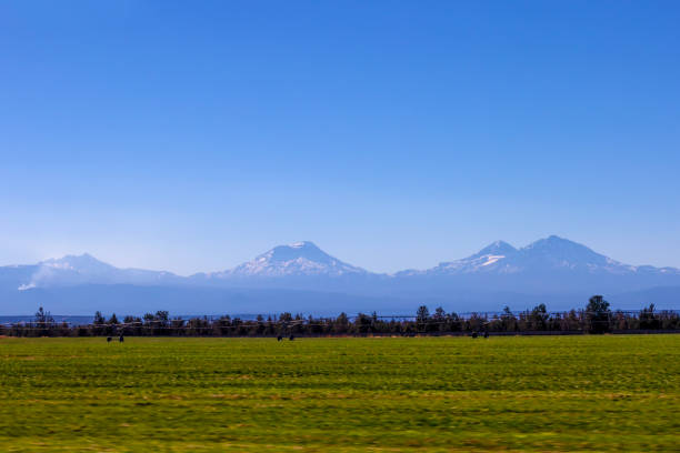 The Three Sisters are colcanic peaks that are a park of the Cascade Volcanic Arce.