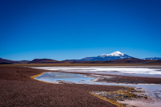 istock Views of Laguna Brava 1784139434