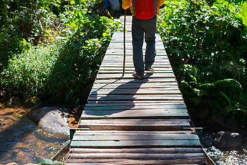 People walking on a wooden bridge in the countryside