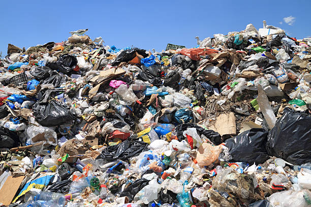 basura y gaviotas - recycling paper garbage landfill fotografías e imágenes de stock