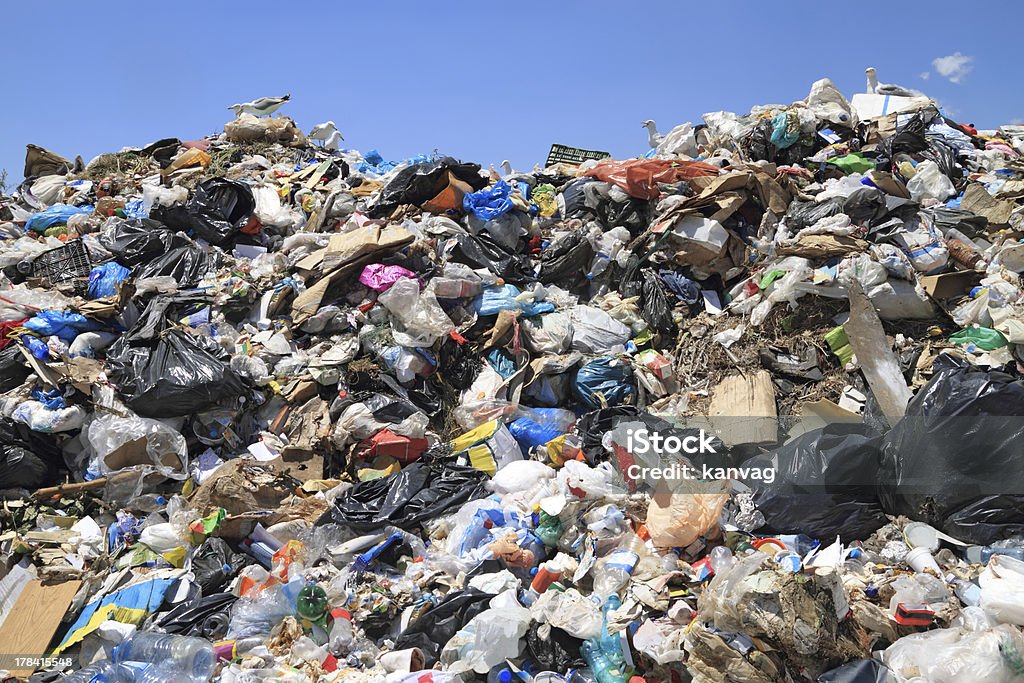 Garbage and seagulls Pile of domestic garbage in landfill Landfill Stock Photo