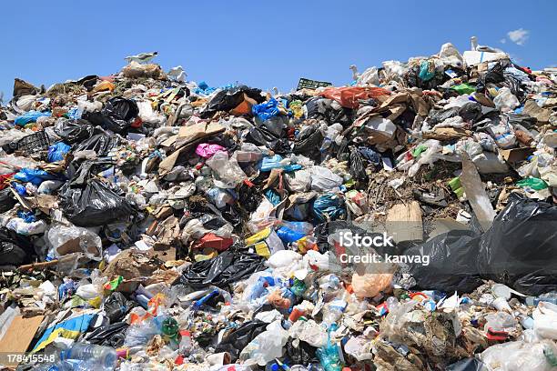 Garbage And Seagulls Stock Photo - Download Image Now - Landfill, Garbage, Garbage Dump