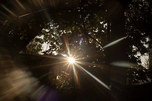 Bright rays of the sun. Sunlight through the foliage. Rays from the sun. Glare in the frame.