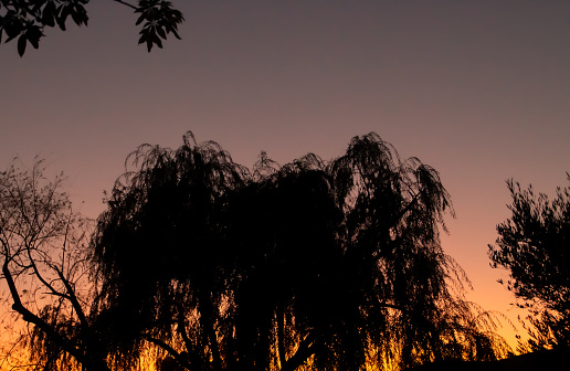 A background of warm colors against which the dark silhouette stands out, in Sanlúcar de Guadiana, Andalusia, Spain.