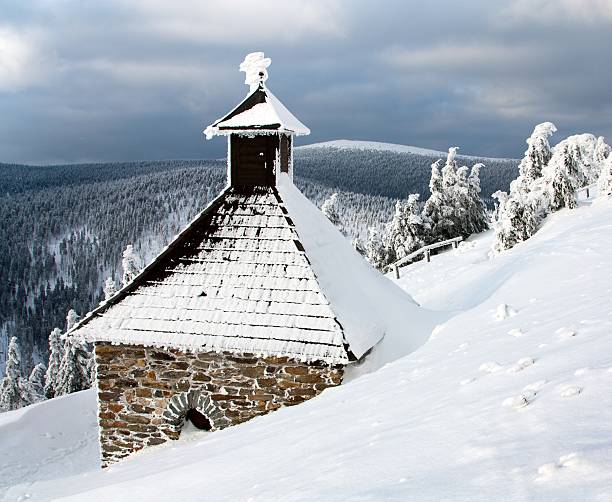 istock heathery spring - jesenik czech republic 178417514