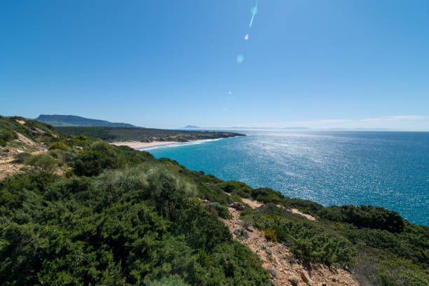 istock panoramic of a beach without people 1784178463