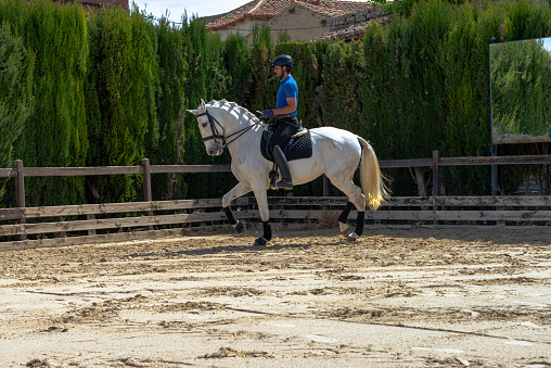 Outdoors in a natural setting a young jockey rides a beautiful white thoroughbred horse. Riding lesson with a thoroughbred horse. Horse trainer