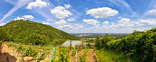 View of Danube River and Saint Leopold's Church on Leopoldsberg View of the Danube of Vienna and the Saint Leopold's Church on Leopoldsberg. vienna woods stock pictures, royalty-free photos & images