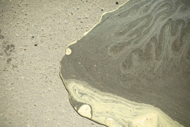 istock Water on asphalt. Pollen from plants in water. Puddle in road. 1784187780