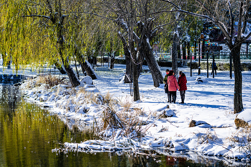 On November 1, 2023, in Changchun, China, people were admiring the scenery after the first snowfall in Nanhu Park.