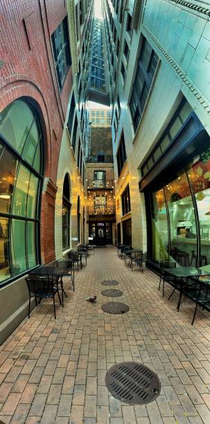 Charming alley in Chicago
