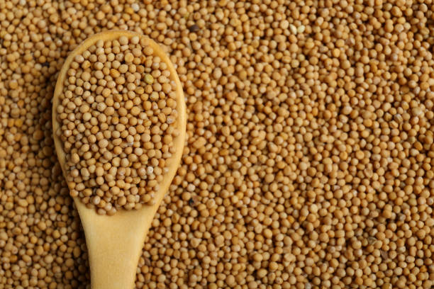 istock Mustard seeds and wooden spoon as background, top view. Space for text 1784210094