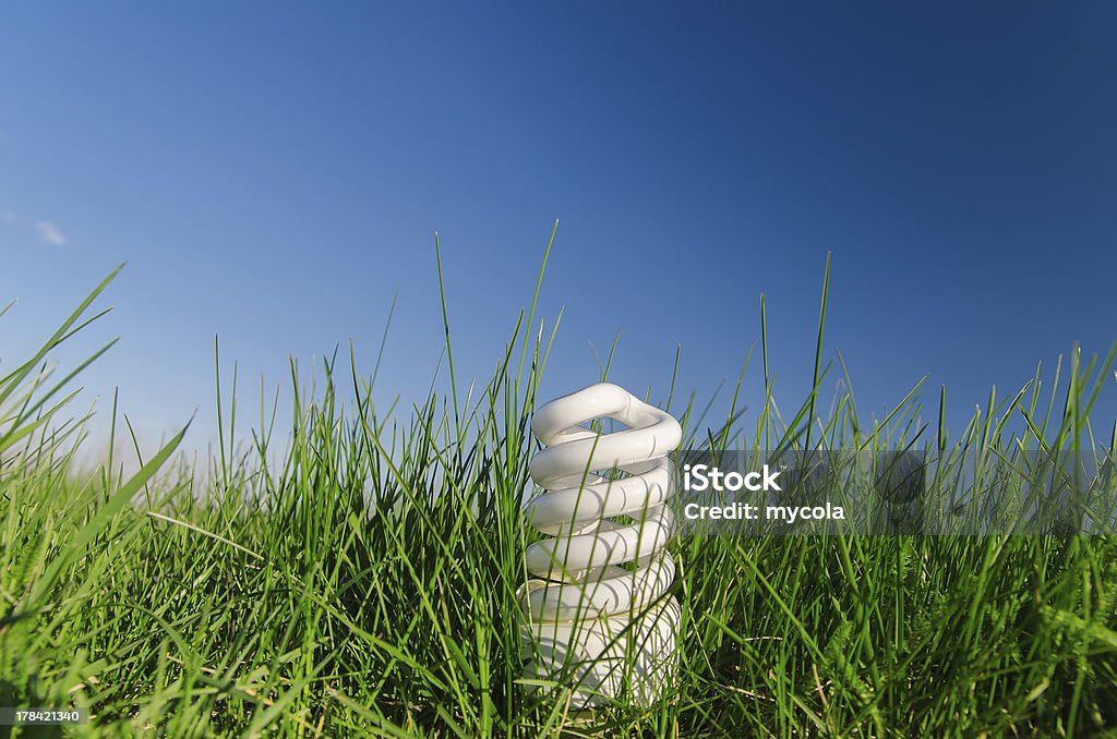 Энергосберегающие накаливания в зеленой траве - Стоковые фото Без людей роялти-фри