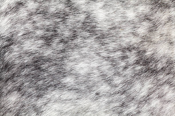 istock Horse hair 178422445