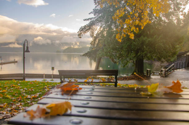 Colours of Fall at Panorama Park