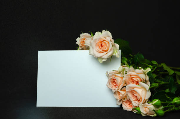 istock Peach blossom roses on black background with white postcard for writing 1784229849