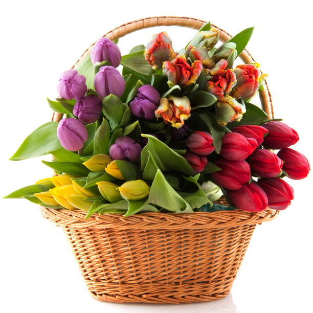 istock Roses for you stock photo 1784236371