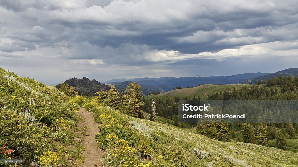 Pacific Crest Trail - Foto de stock de Camino libre de derechos