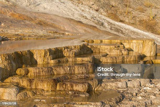 Terrazze In Travertino A Mammoth Hot Springs - Fotografie stock e altre immagini di Albero - Albero, Ambientazione esterna, Bacino calcareo