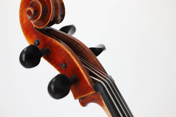 istock Cello scroll on headstock and tuning pegs 1784277752