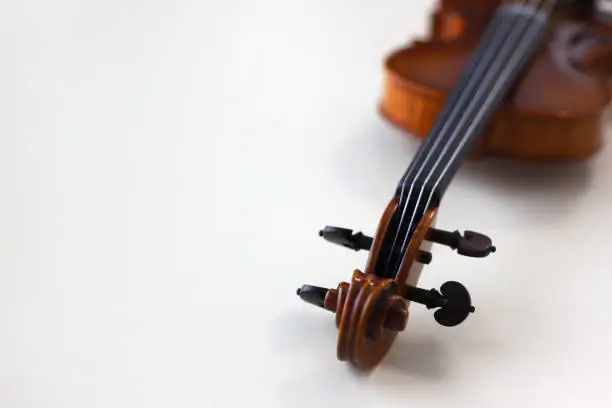 Photo of Violin's antique body closeup. String instrument. Copy space.