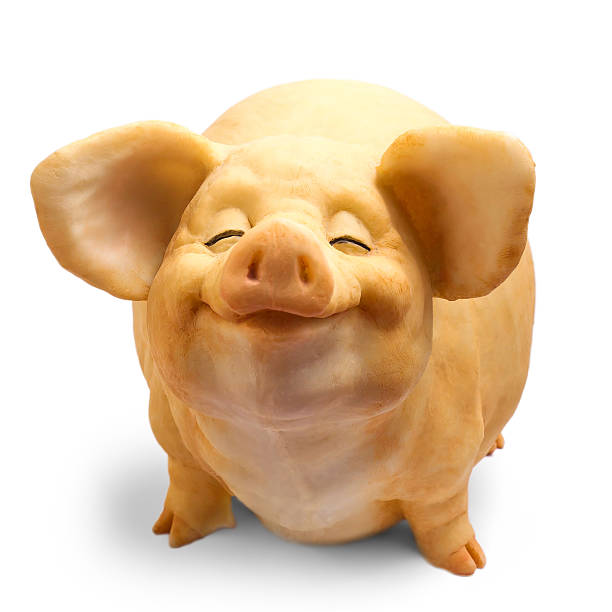 istock pig dirty isolated figure on a white background 178428570