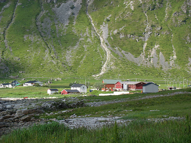 istock Landscape in the Lofoten islands 178428631