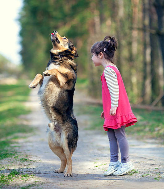 istock Happy little girl playing with dog 178428887