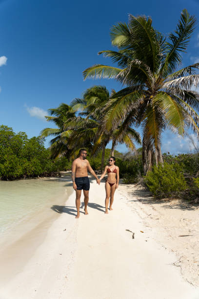 istock Young couple holding hands while walking along the seashore in an idyllic place in Mexico, Isla Contoy. 1784294367