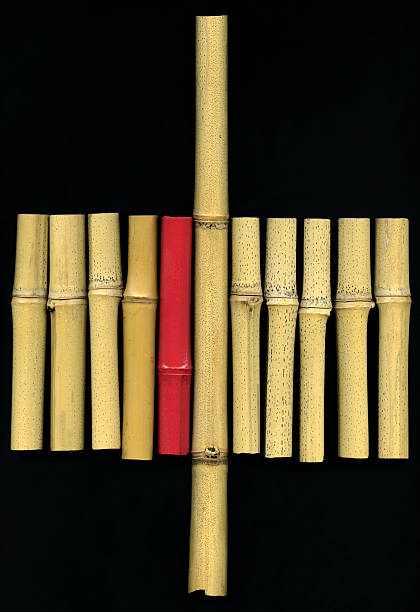 Bambus-sticks – Foto