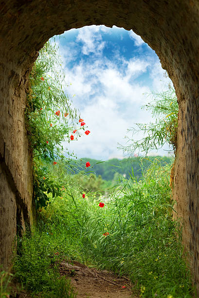 New hope at the end of the tunnel. Dark tunnel corridor with arch opening with green grass and flowers to a beautiful cloudy sky.