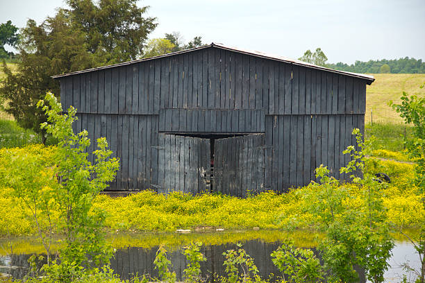 Old Wood Barn with a pond stock photo