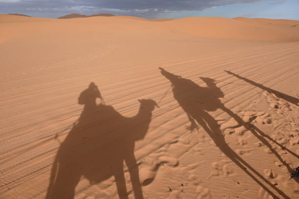 istock Shadow of a dromedary caravan in the Sahara 1784313260