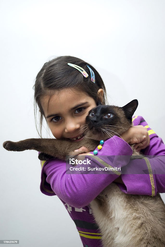 Kleines Mädchen und Siamkatze - Lizenzfrei 6-7 Jahre Stock-Foto