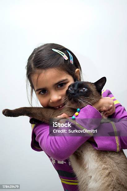 Kleines Mädchen Und Siamkatze Stockfoto und mehr Bilder von 6-7 Jahre - 6-7 Jahre, Afrikanischer Abstammung, Blick in die Kamera