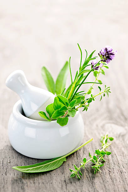 istock Healing herbs in mortar and pestle 178431828