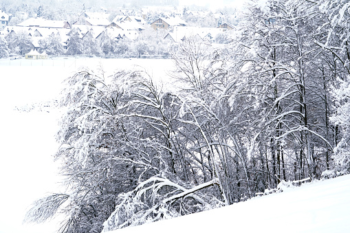 Surroundings of village Urdorf in Switzerland during winter season under heavy snowfall in January 2021. Trees and bushes in the background are covered with snow and diminishing in perspective.