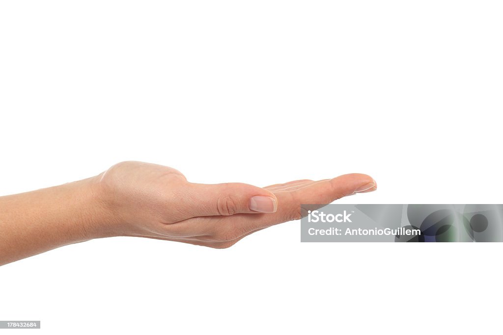 A hand of a woman with palm up Woman hand with palm up in a white isolated background Adult Stock Photo