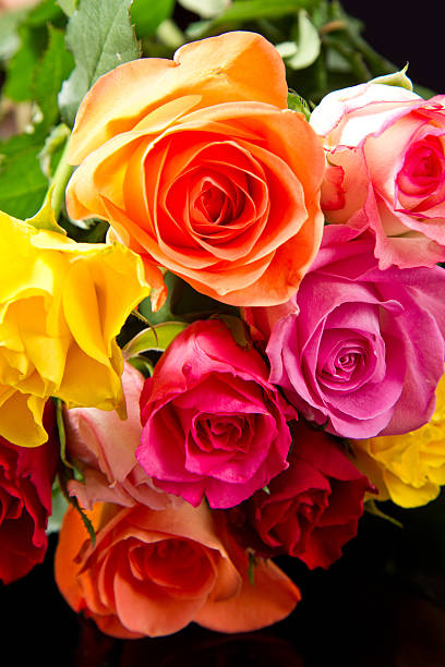 istock bouquet of colorful  roses 178433053