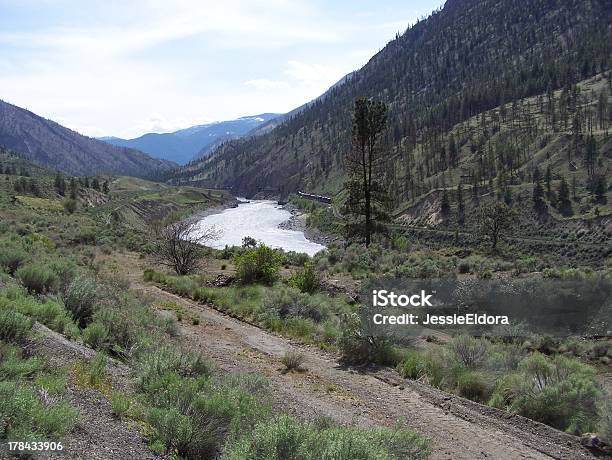 Dirt Roads And Railway Tracks Stock Photo - Download Image Now - British Columbia, Coniferous Tree, Desert Area