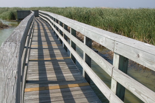 Viewing area boardwalk is part of the Port Aransas Nature Center in Texas.