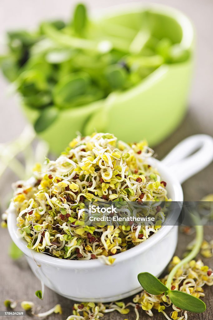 Sprouts in cups Fresh alfalfa and sunflower sprouts in cups Alfalfa Stock Photo