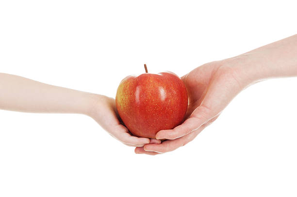 istock red apple in child and mommy hands 178434752