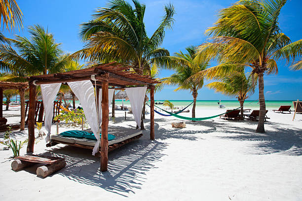 Perfect tropical beach stock photo