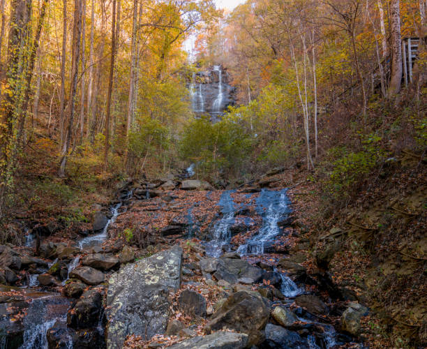 Fall colors in Amicalola waterfalls