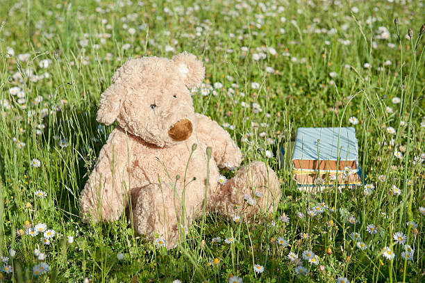 back view of teddy bears looking at the lake