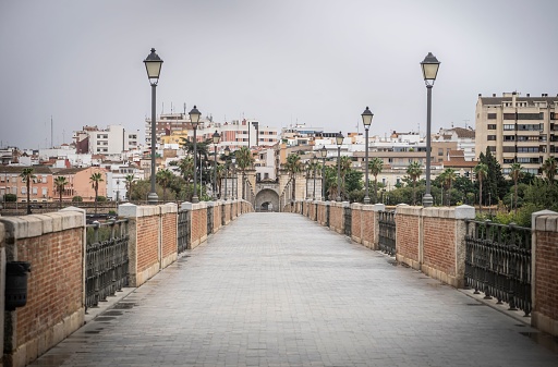 Bridge of the palms and in the background in the background the beautiful city of Badajoz. Extremadura.
