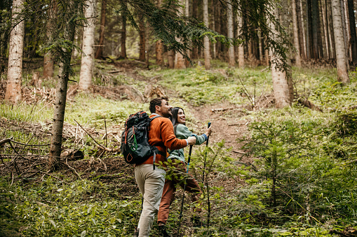 Amidst towering trees, a loving couple shares a moment on a forest trail, backpacks hinting at the adventure that lies ahead