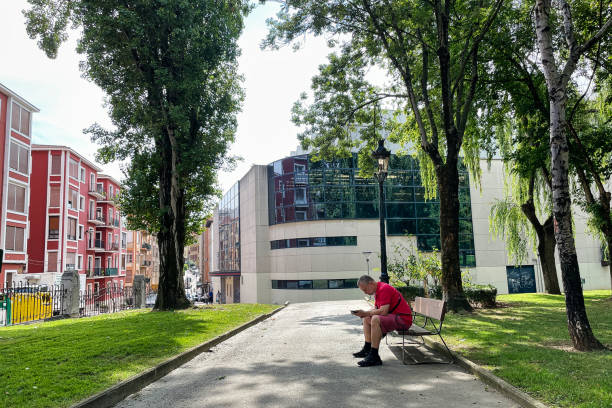 A man uses a phone while sitting in a park