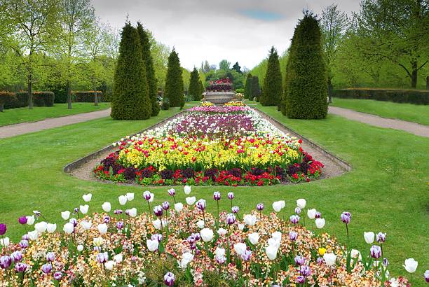 istock beautiful alley in the Park with exotic plants 178437613